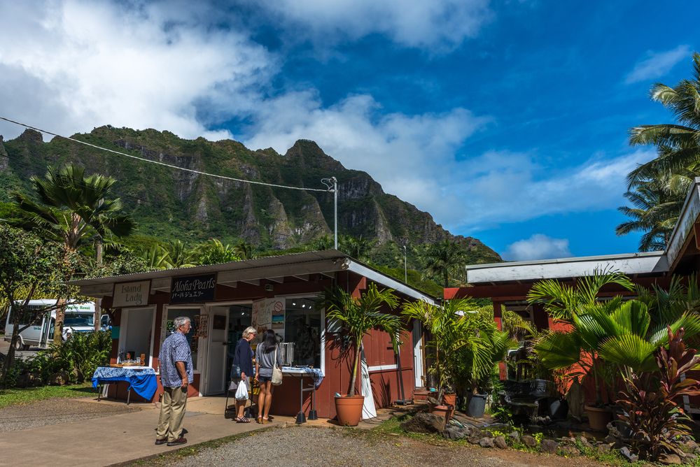 Exterior of a shop at Tropical Farms