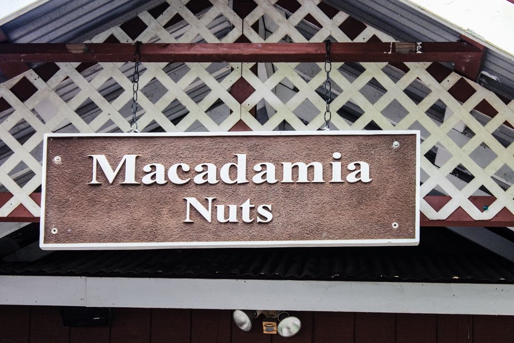Macadamia nuts outlet in Tropical Farms