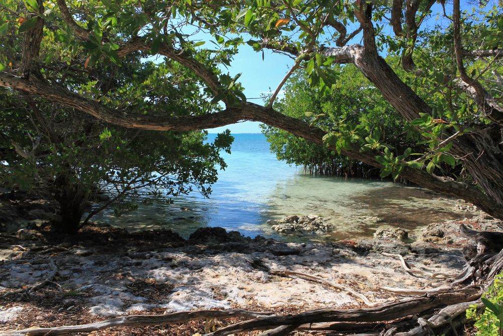 Waters of Indian Key Historic State Park