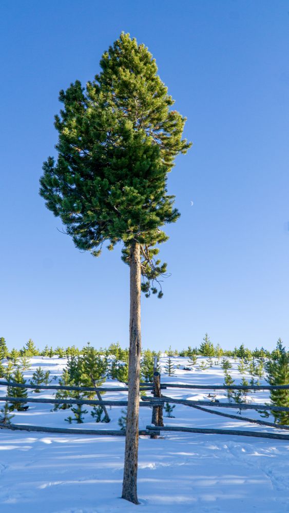 Winter at Sapphire Point Overlook