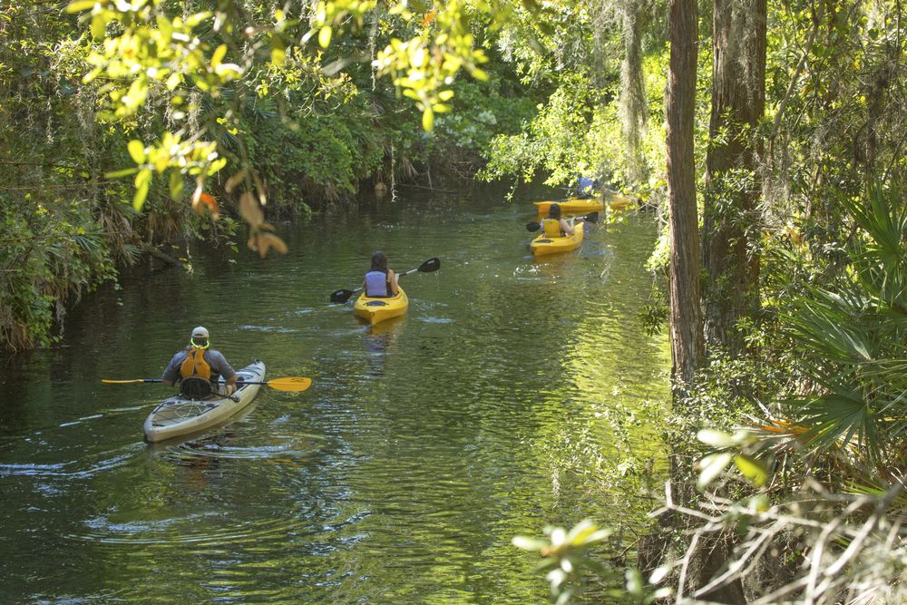 Kayaking at Shingle Creek Regional Park