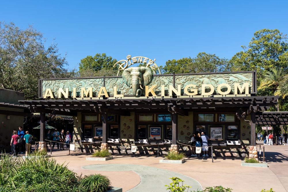 Animal kingdom at Walt Disney World Resort