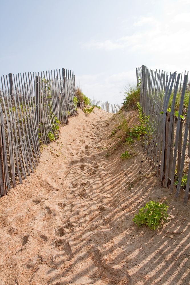 Sandy pathway leading to Kitty Hawk Beach