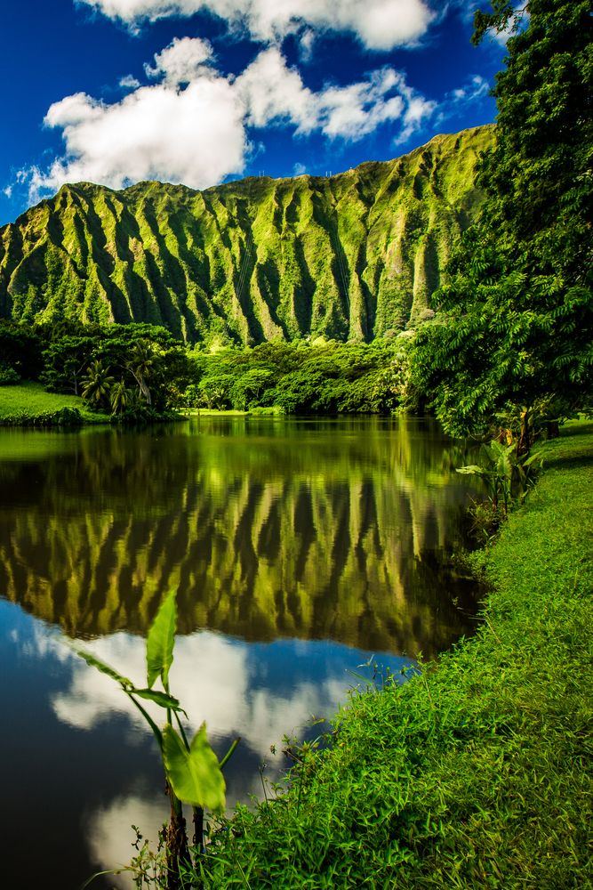 The waters of Ho'omaluhia Botanical Garden
