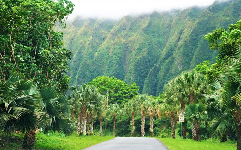Trail at Ho'omaluhia Botanical Garden