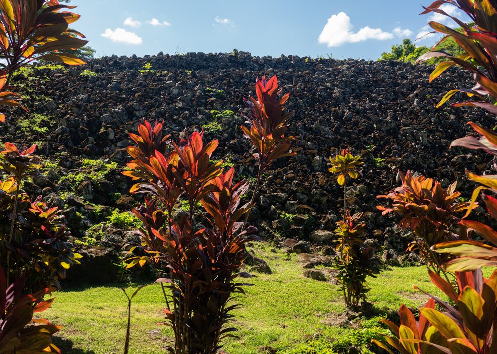 Flora at Ulupō Heiau State Historic Site