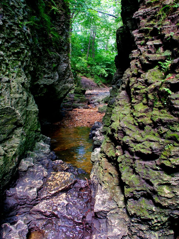 Sinuous narrow gorge at Perry Farm Park