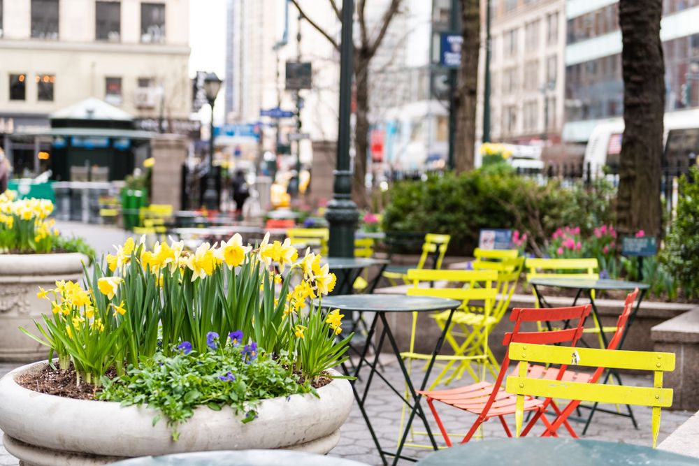 Flowers at Greeley Square Park