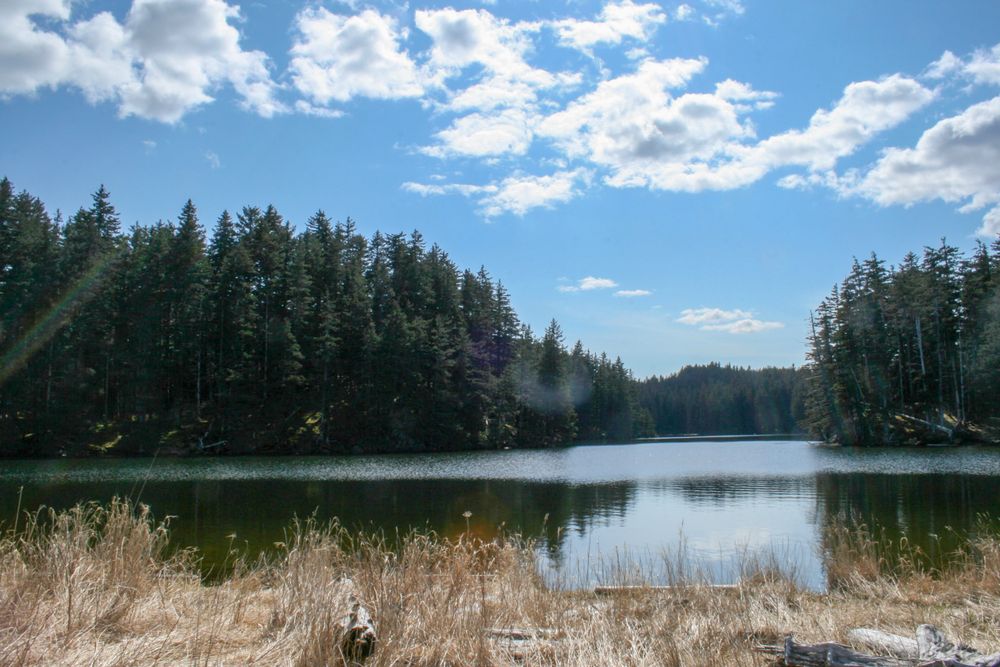 Tall trees framing a lake at Fort Abercrombie State Historical Park.