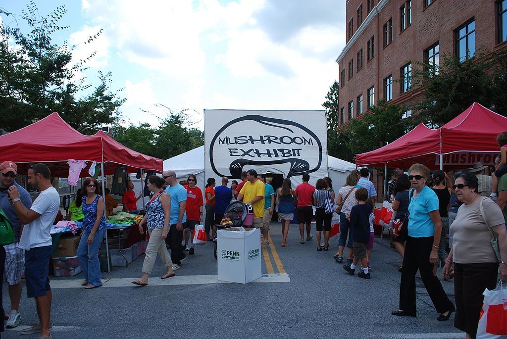 Mushroom exhibit at Kennett Square Mushroom Festival