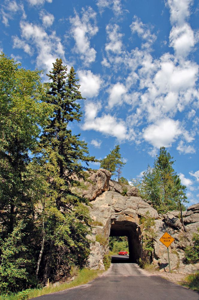 A rock tunnel along Iron Mountain Road