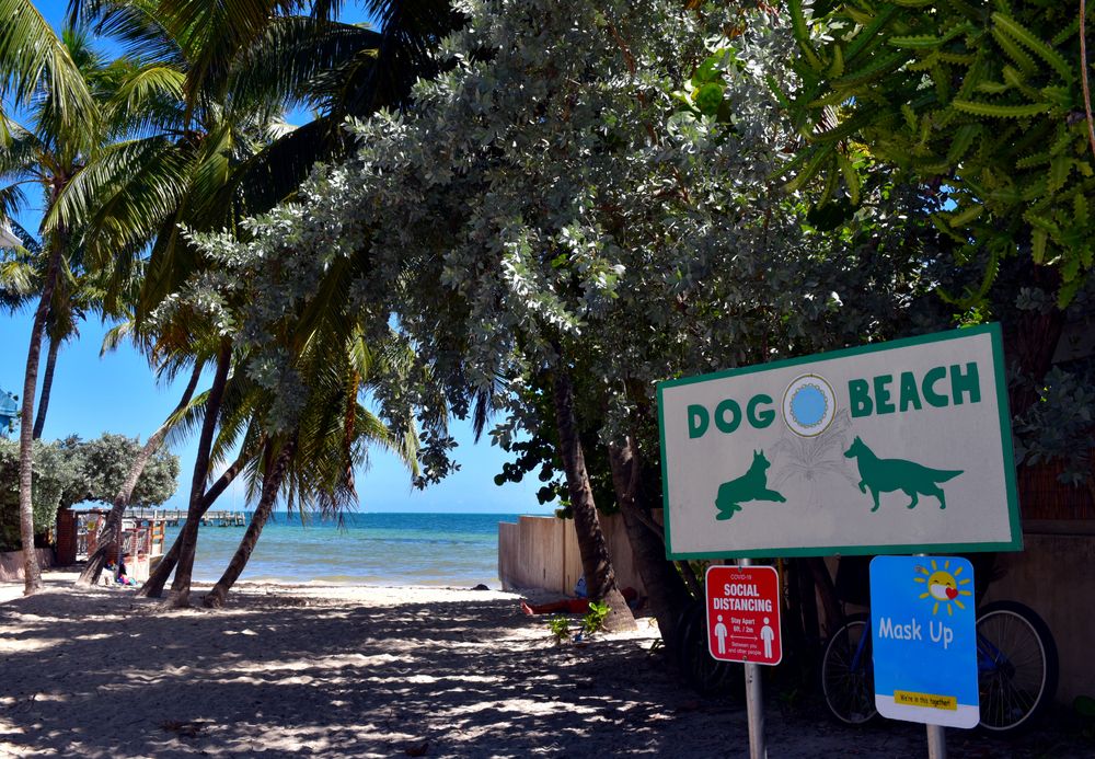 Welcome sign of Dog Beach