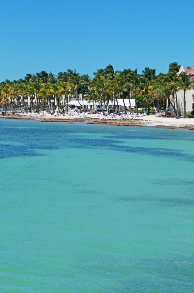 Clear waters of Higgs Beach