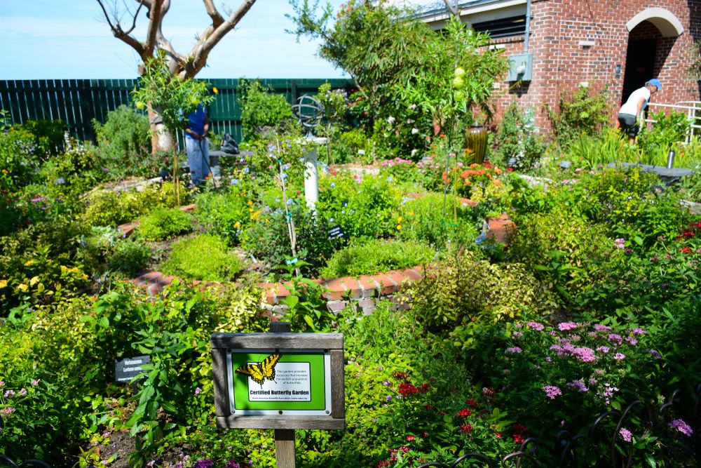 Lush flora at Key West Garden Club