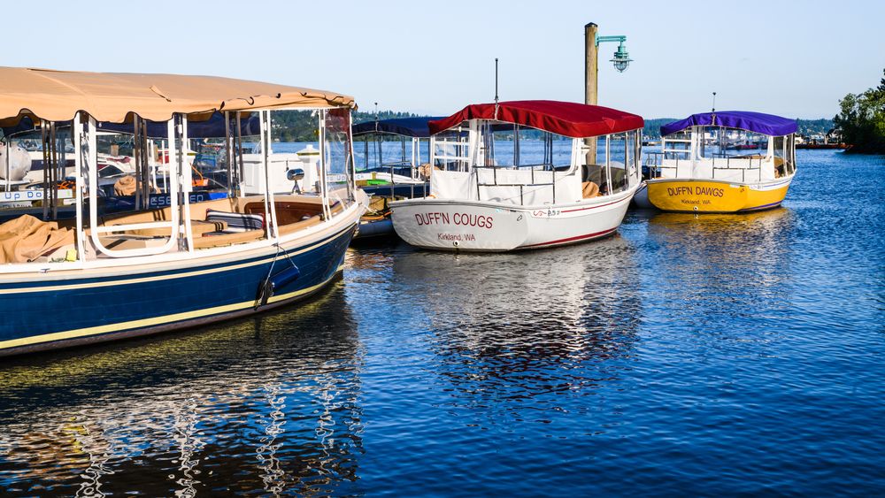 View of docked Duffy Electric Boats
