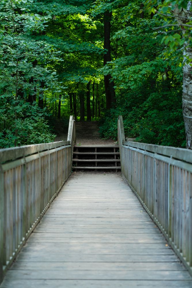 Boardwalk at Petrifying Springs Park