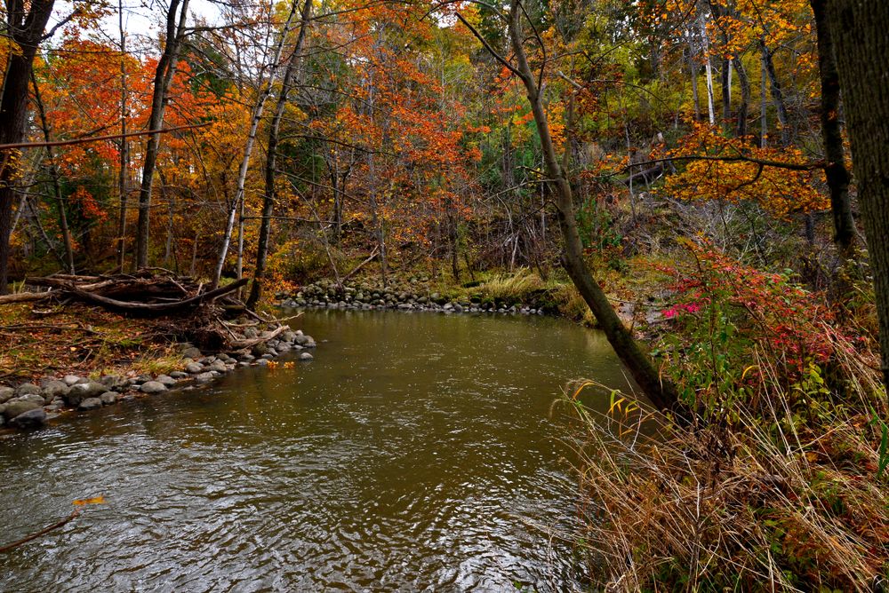 The waters of Petrifying Springs Park