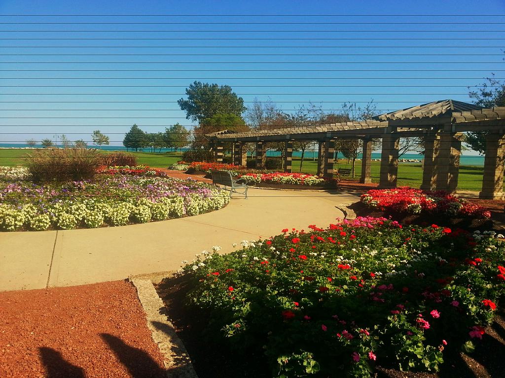 Flowerbeds at Wolfenbuttel Park