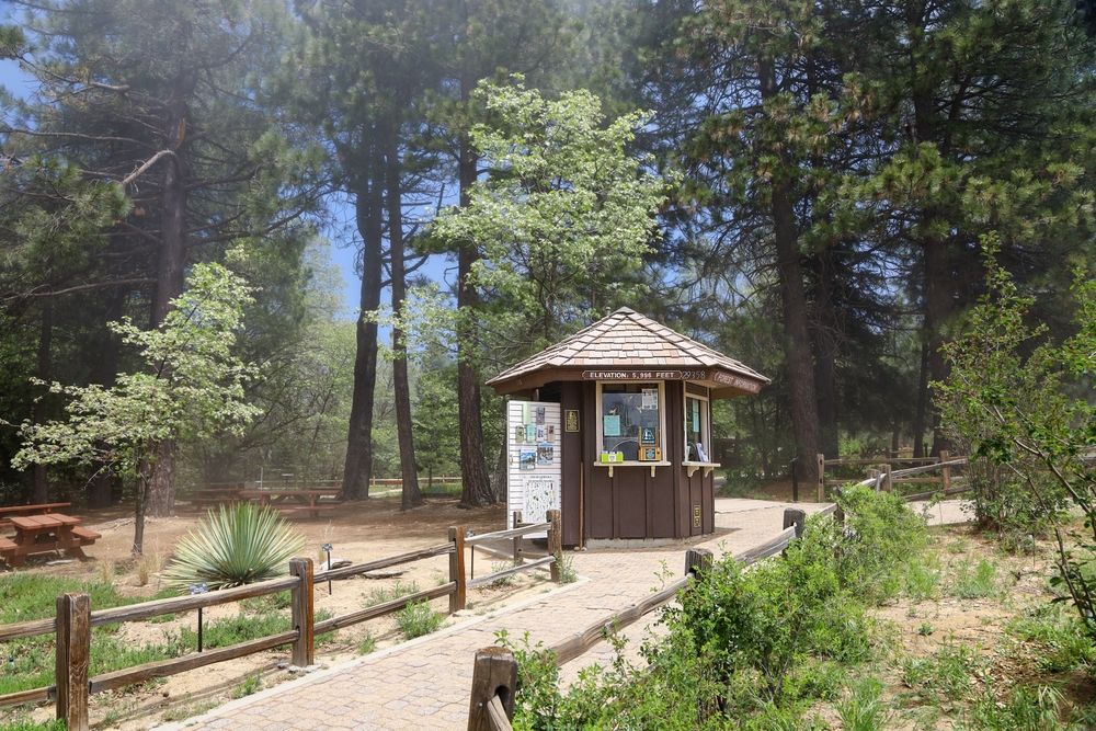 A booth at Heaps Peak Arboretum