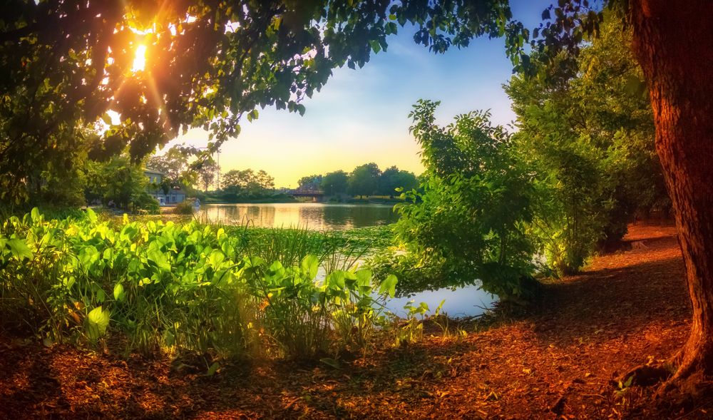 Beautiful sunset at Humboldt Park.