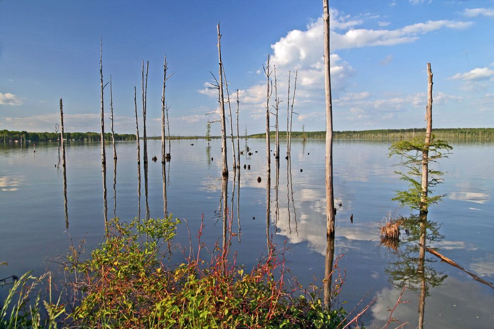 View of Lake Conway