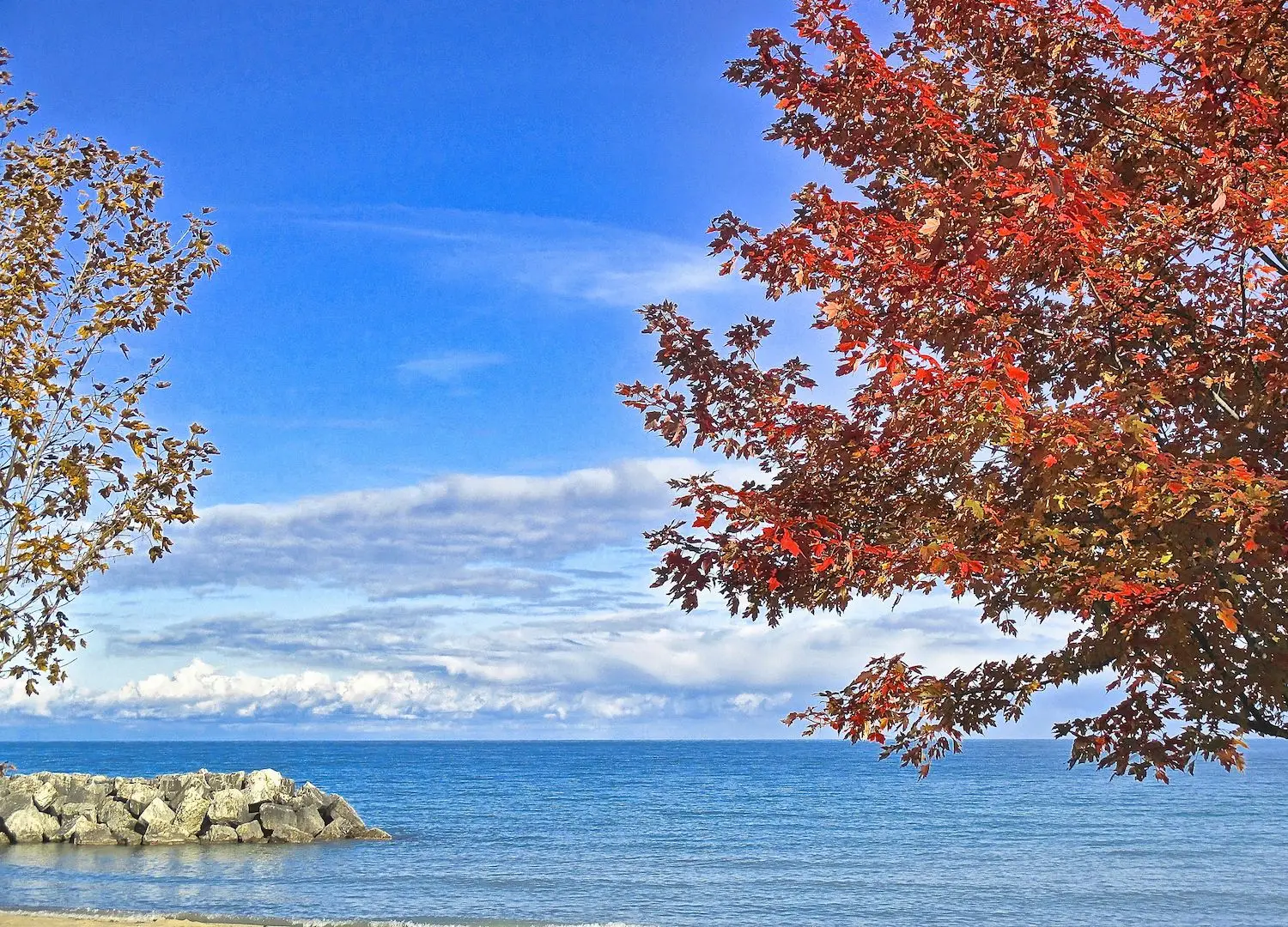15 Best Things to Do in Lake Forest, IL
