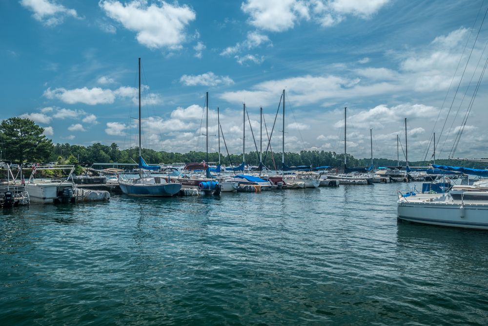 Boats docked at Holiday Marina