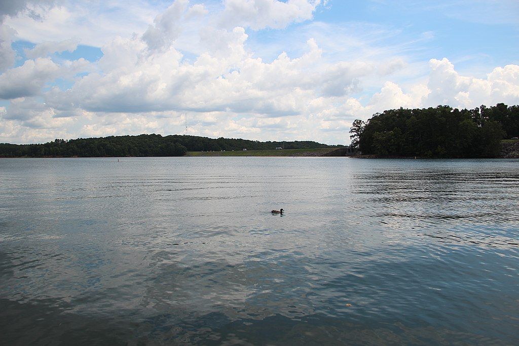 View of Lanier Lake from West Bank Park