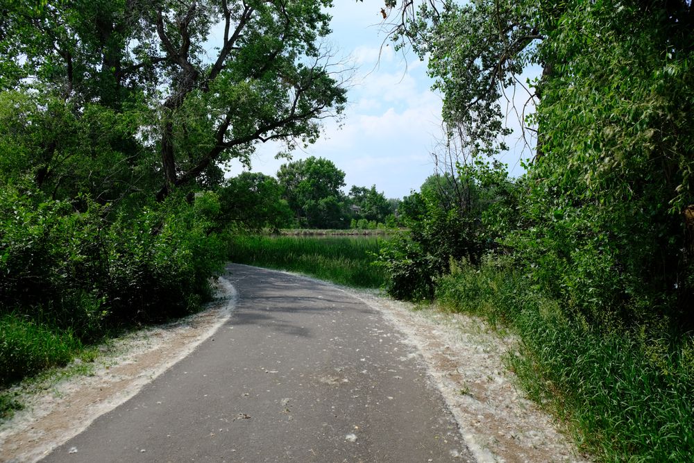 Walking path at Kendrick Lake Park