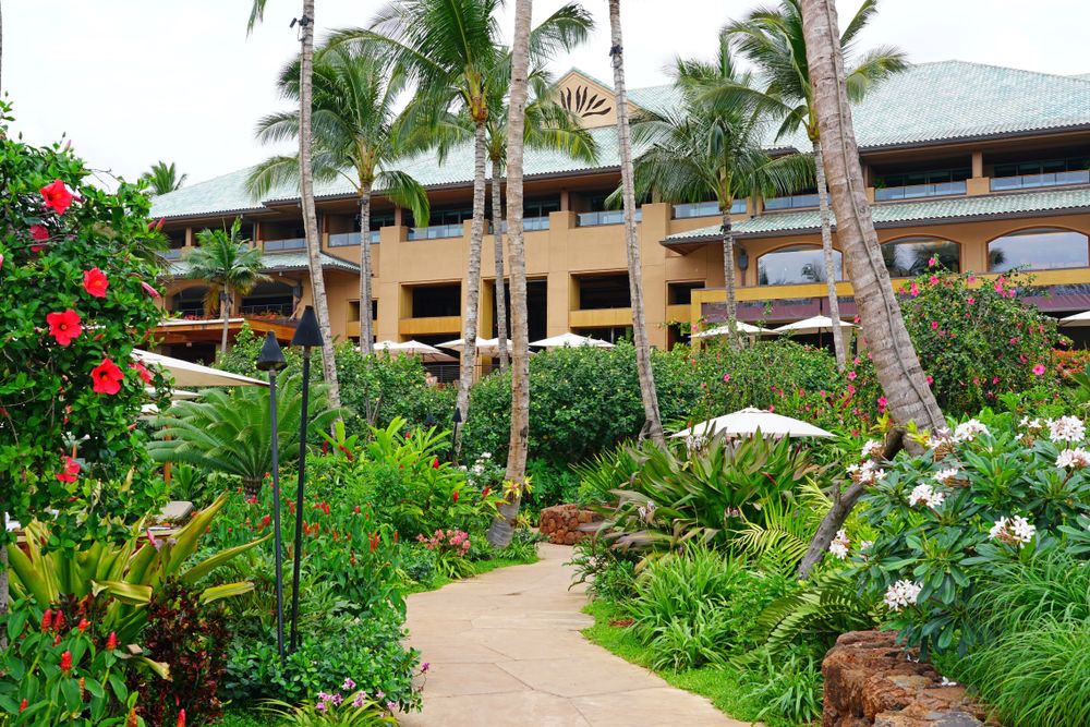 Plants and trees framing the path to Four Seasons Lanai