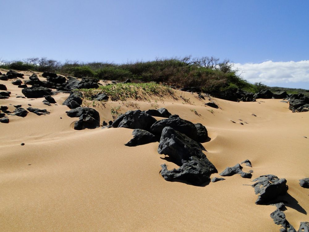 Lava rocks along Polihua Beach's sand