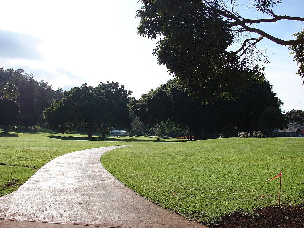 Open field at Koele