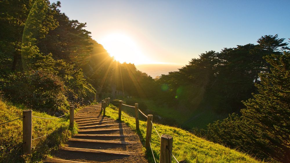 Trail at Lands End San Francisco