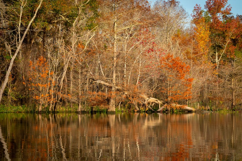 The grounds of Big Thicket National Preserve