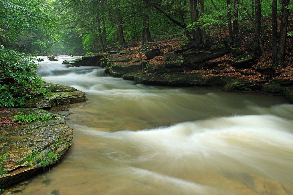 Upper rock gorge at Loyalsock State Forest