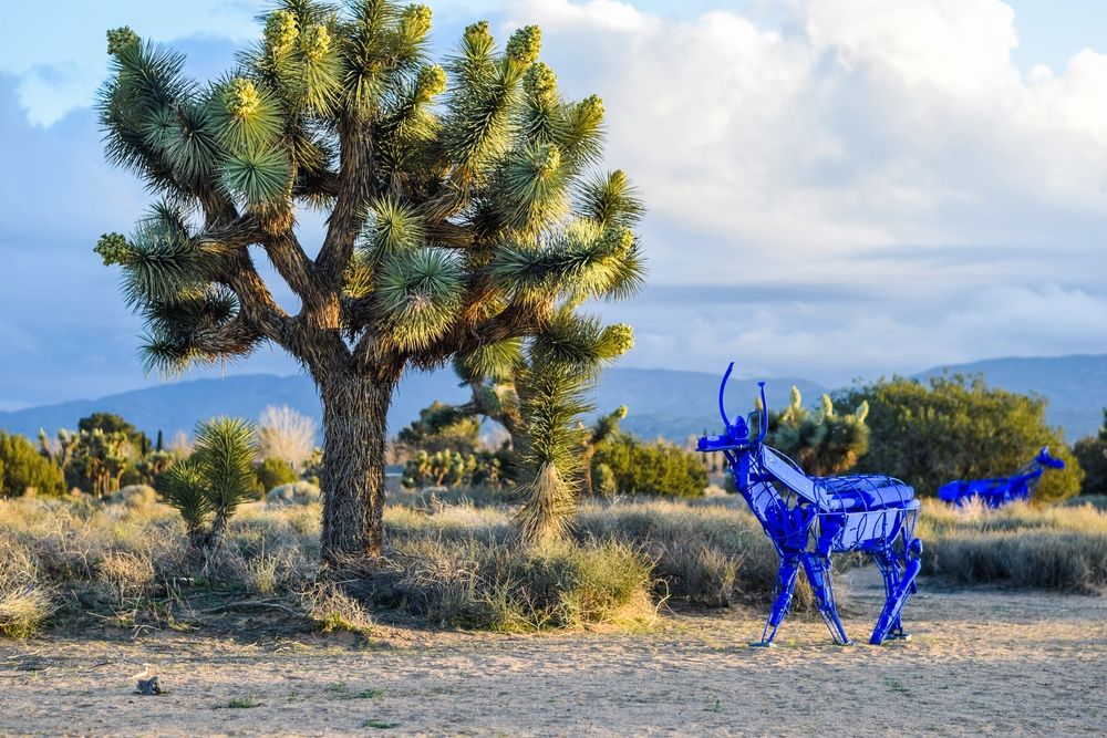 Animal sculpture at Prime Desert Woodland Preserve