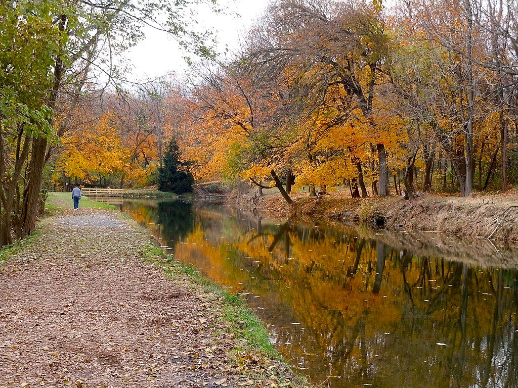 Autumn trees surrounding Union Canal Tunnel Park's water
