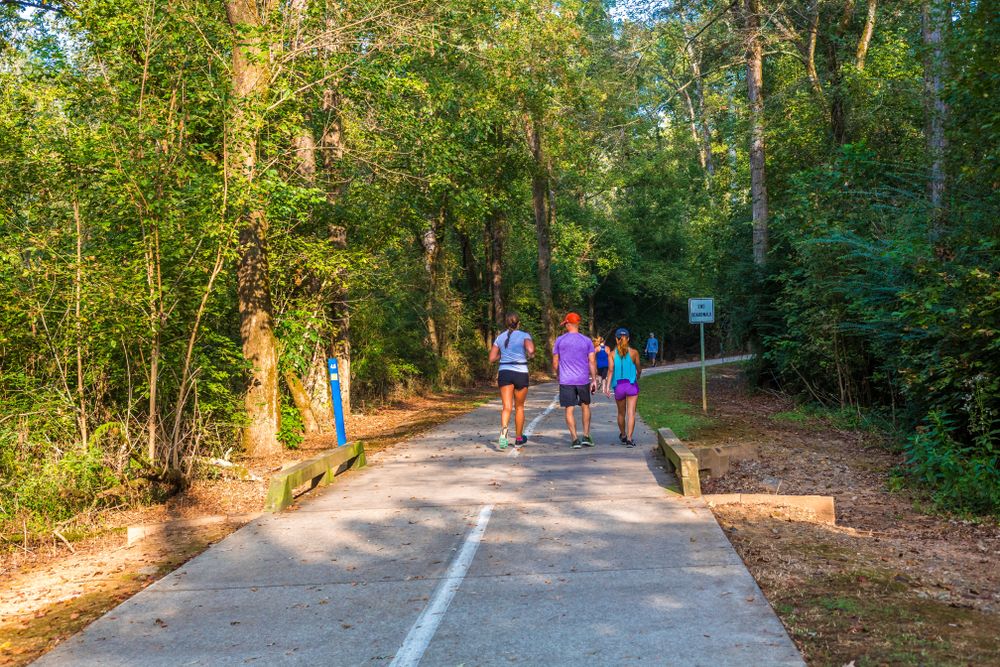 View of Big Creek Greenway