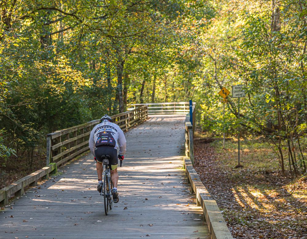 View of Big Creek Greenway