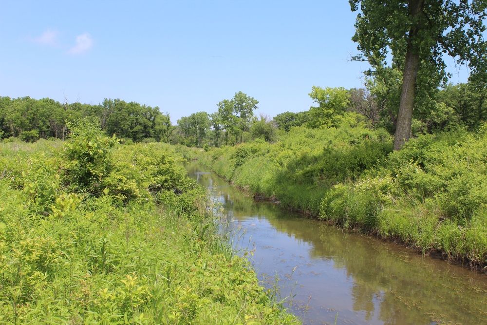 The waters of Middlefork Savanna Forest Preserve