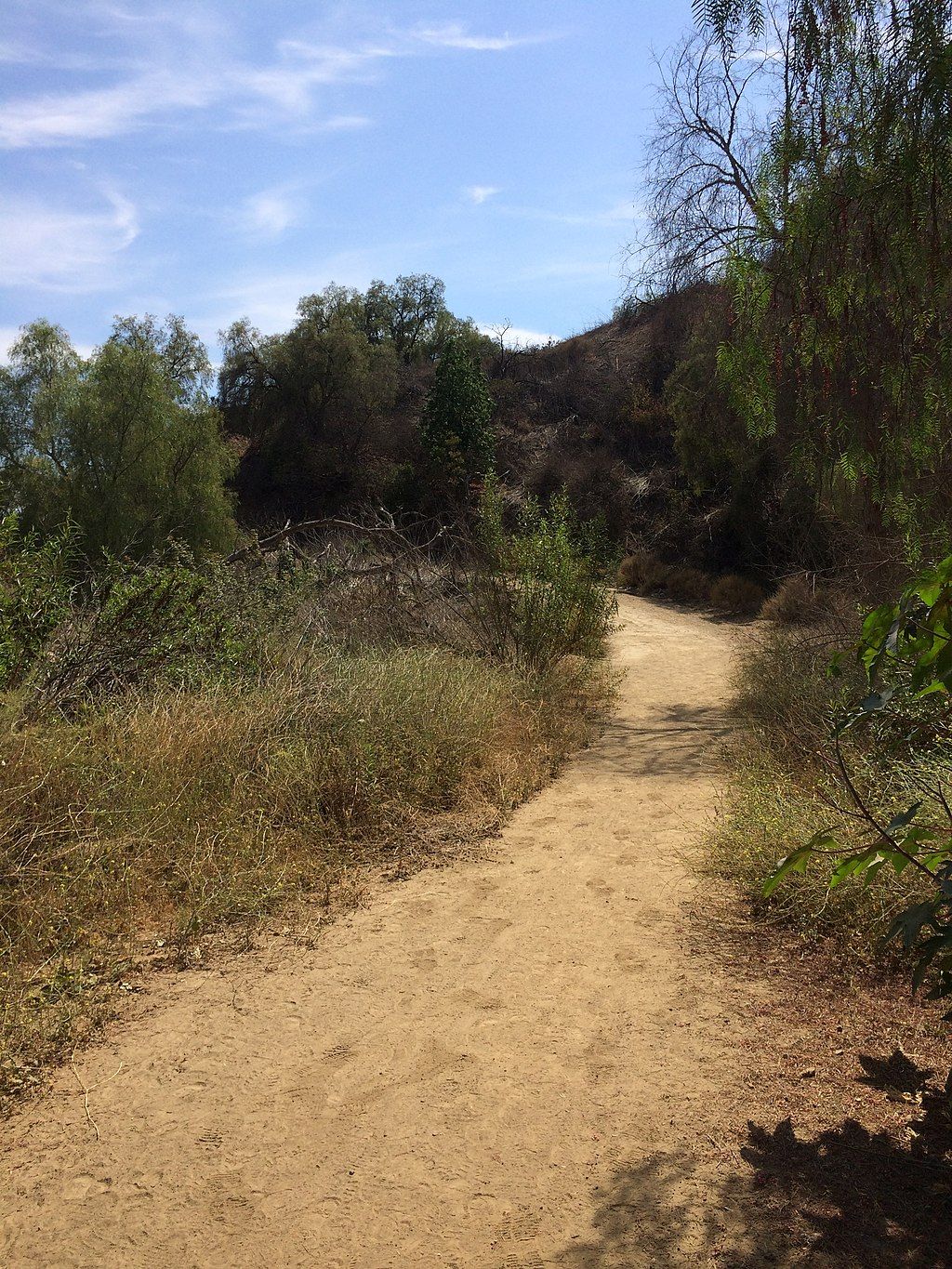 Dirt trail at Arroyo Pescadero Trail