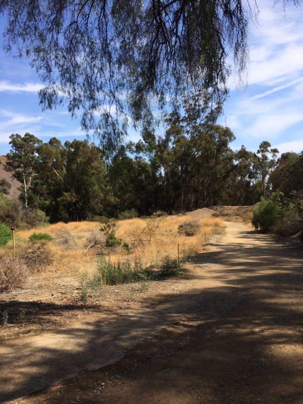Daytime view of Arroyo Pescadero Trail