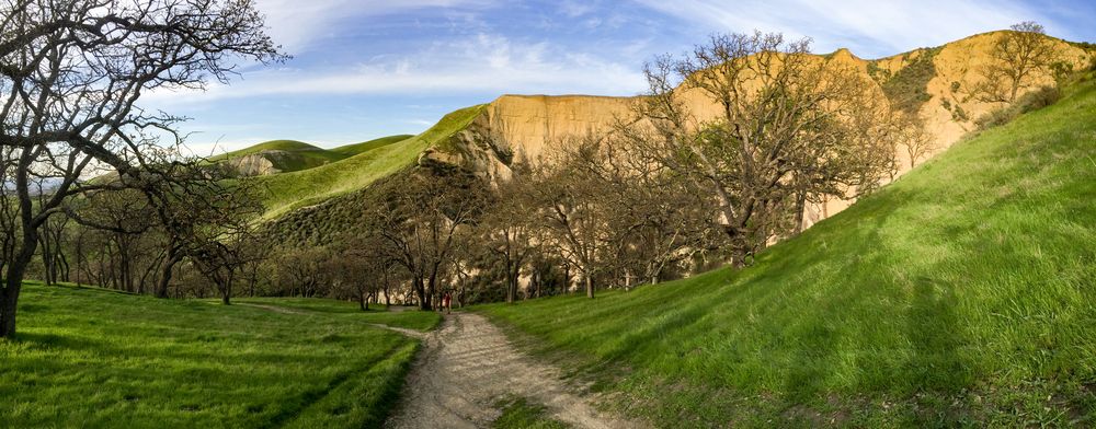 A trail at Del Valle Regional Park