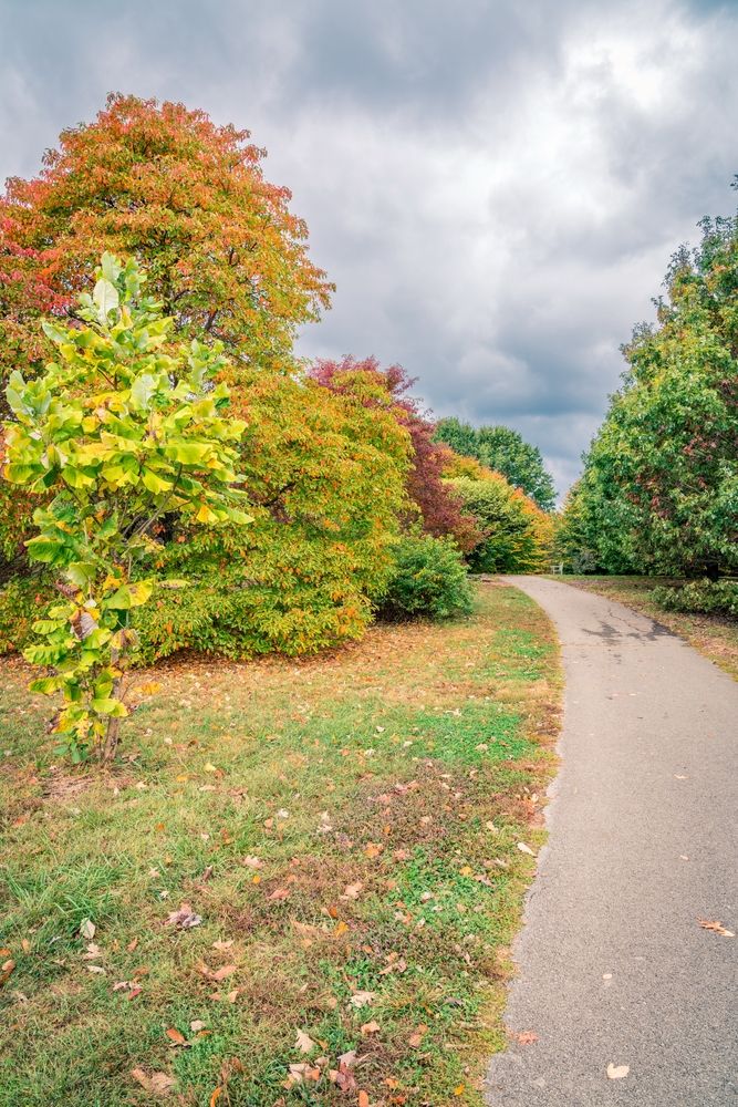 Trail lined with trees at Arboretum State Botanical Garden of Kentucky