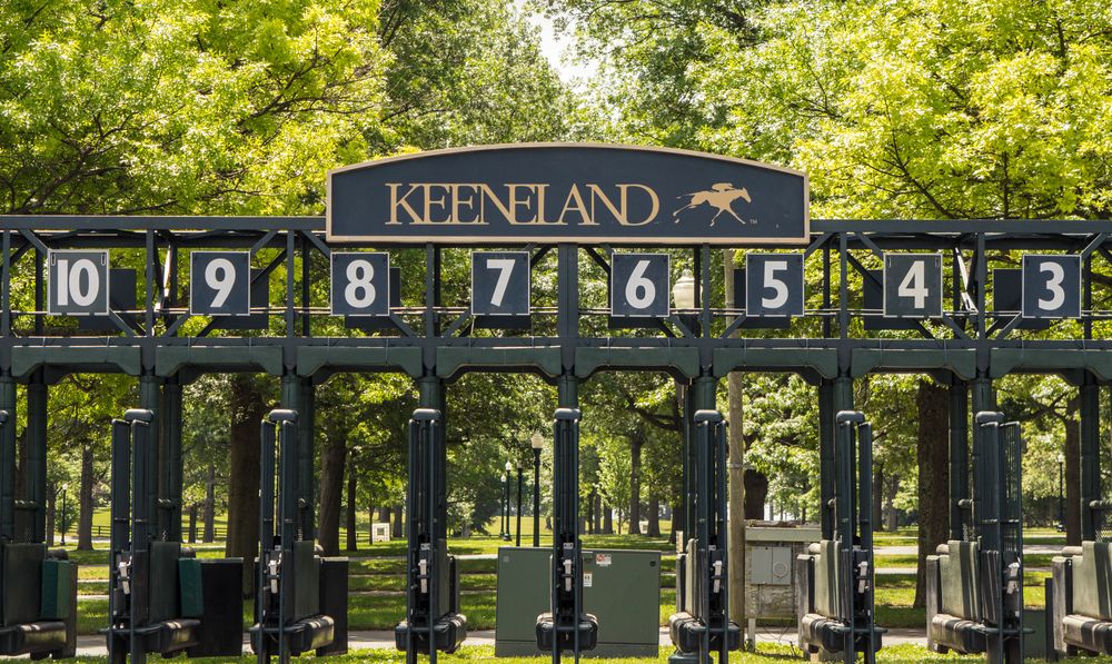 Starting gates at Keeneland