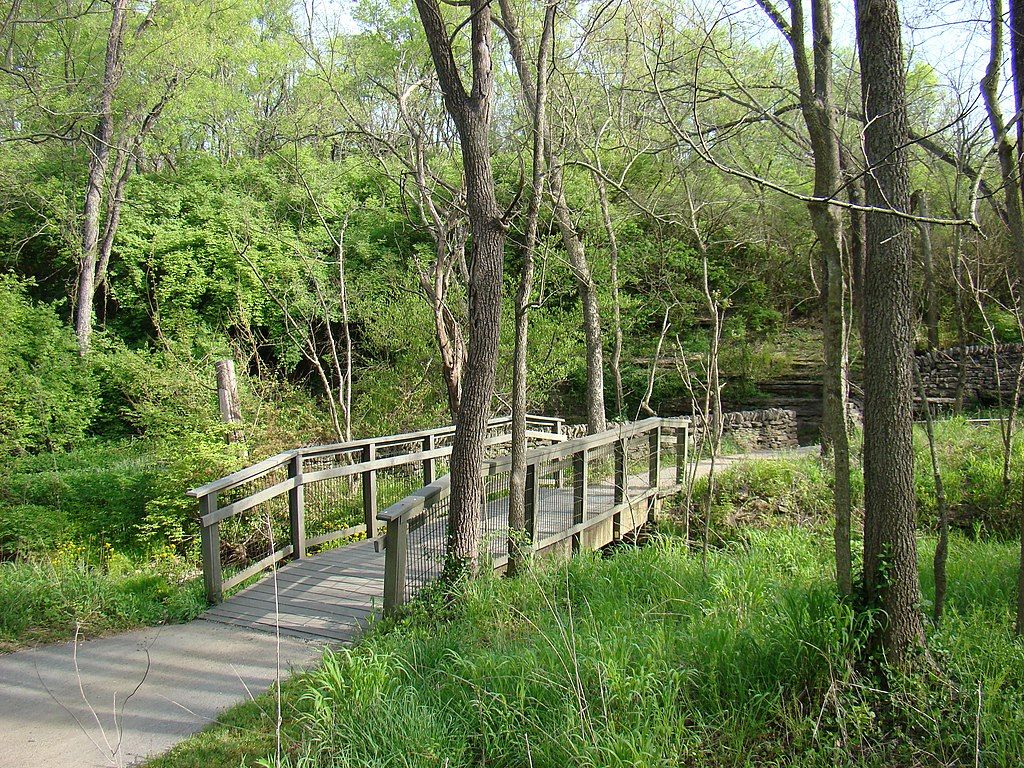 Trail at McConnell Springs