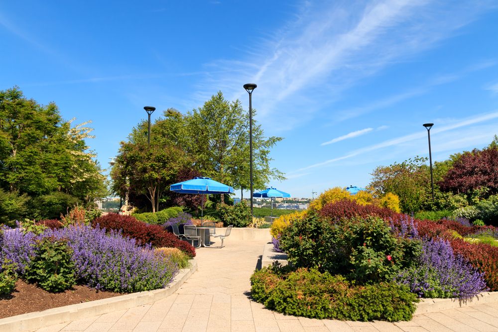 Trail lined with plants at Hudson River Park