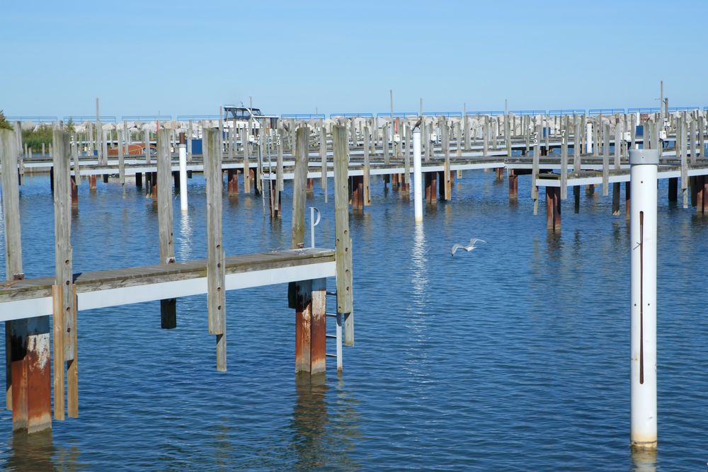 Stilts-like structures on Lexington State Harbor's water