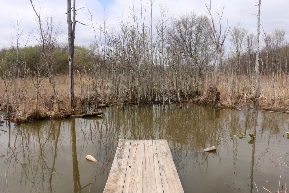 Wetlands at Ernest L. Oros Wildlife Preserve