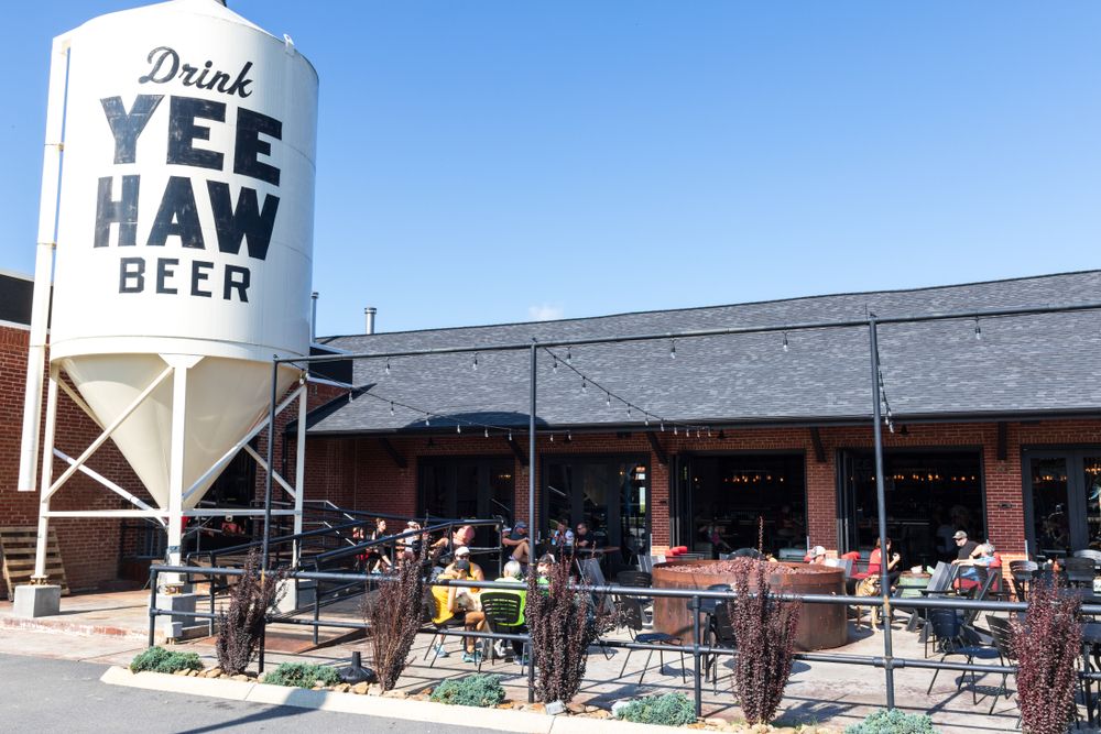 Al fresco dining at Yee-Haw Brewing Company